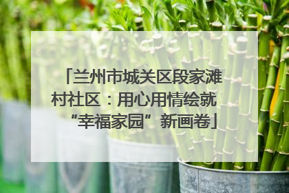 兰州市城关区段家滩村社区：用心用情绘就“幸福家园”新画卷