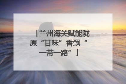 兰州海关赋能陇原“甘味”香飘“一带一路”