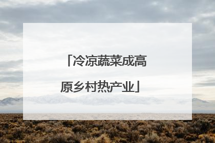 冷凉蔬菜成高原乡村热产业