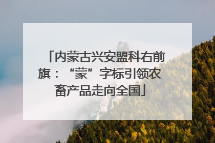 内蒙古兴安盟科右前旗：“蒙”字标引领农畜产品走向全国