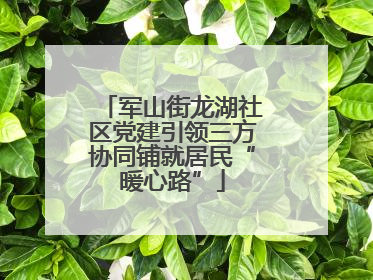 军山街龙湖社区党建引领三方协同铺就居民“暖心路”