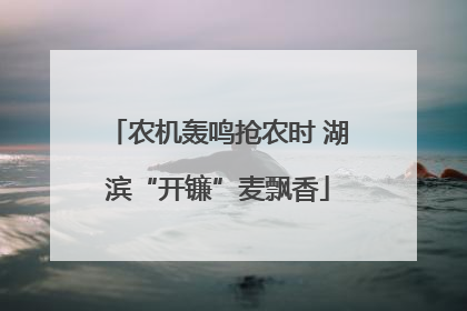 农机轰鸣抢农时 湖滨“开镰”麦飘香