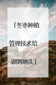 冬枣种植管理技术培训到地头