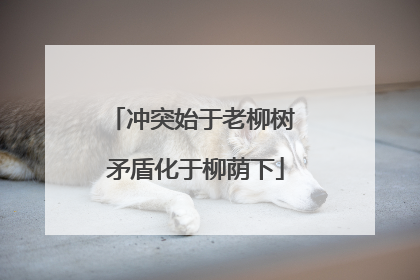 冲突始于老柳树 矛盾化于柳荫下