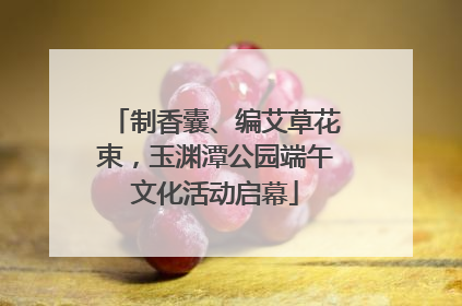 制香囊、编艾草花束，玉渊潭公园端午文化活动启幕