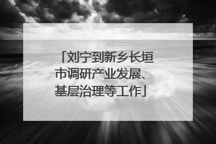 刘宁到新乡长垣市调研产业发展、基层治理等工作