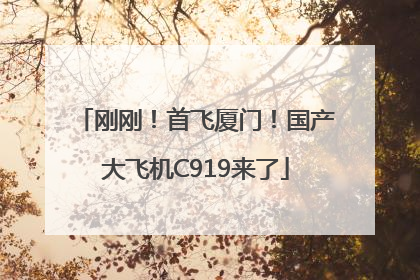 刚刚！首飞厦门！国产大飞机C919来了