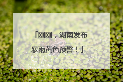 刚刚，湖南发布暴雨黄色预警！