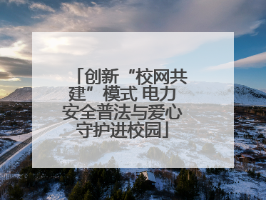 创新“校网共建”模式 电力安全普法与爱心守护进校园