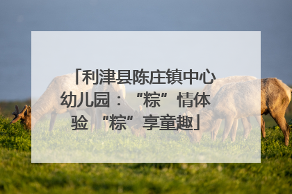 利津县陈庄镇中心幼儿园：“粽”情体验 “粽”享童趣