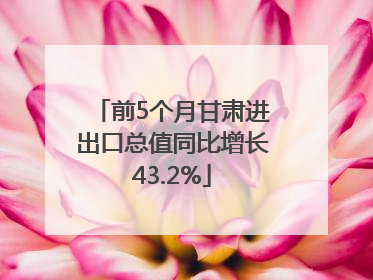 前5个月甘肃进出口总值同比增长43.2%