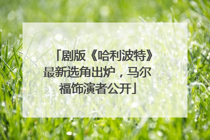 剧版《哈利波特》最新选角出炉，马尔福饰演者公开