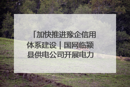 加快推进豫企信用体系建设｜国网临颍县供电公司开展电力行业信用企业现场咨询访谈工作