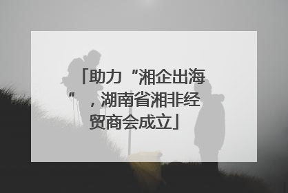 助力“湘企出海”，湖南省湘非经贸商会成立
