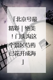 北京号最精彩｜绝美！门头沟这个景区芍药已花开成海