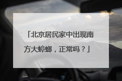 北京居民家中出现南方大蟑螂，正常吗？