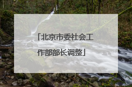 北京市委社会工作部部长调整