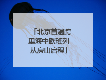 北京首趟跨里海中欧班列从房山启程