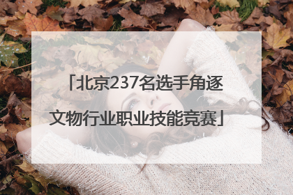 北京237名选手角逐文物行业职业技能竞赛