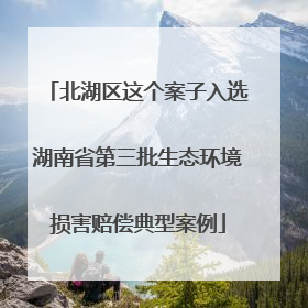 北湖区这个案子入选湖南省第三批生态环境损害赔偿典型案例