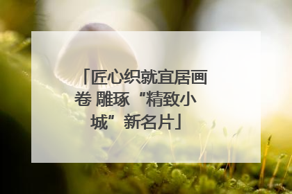 匠心织就宜居画卷 雕琢“精致小城”新名片
