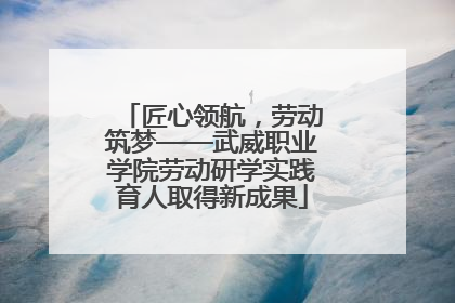 匠心领航，劳动筑梦——武威职业学院劳动研学实践育人取得新成果