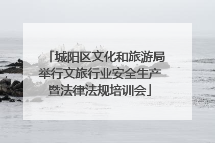 城阳区文化和旅游局举行文旅行业安全生产暨法律法规培训会