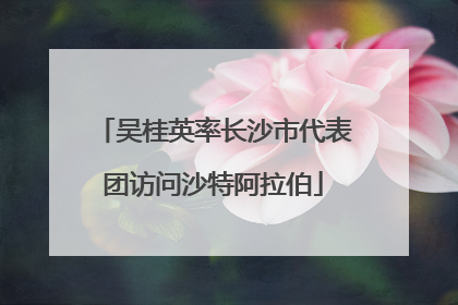 吴桂英率长沙市代表团访问沙特阿拉伯