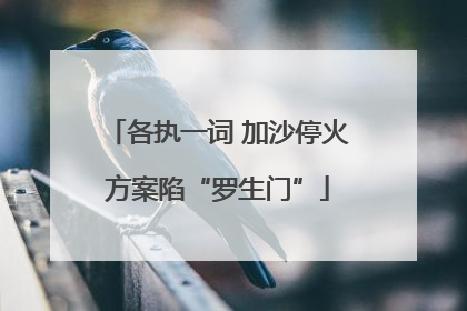各执一词 加沙停火方案陷“罗生门”