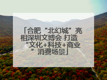 合肥“北幻城”亮相深圳文博会 打造“文化+科技+商业”消费场景