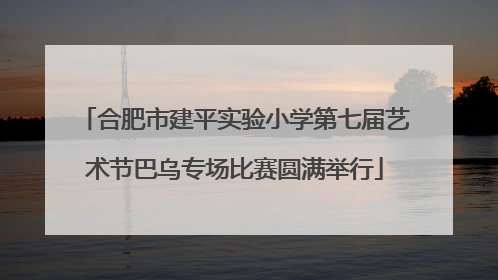 合肥市建平实验小学第七届艺术节巴乌专场比赛圆满举行