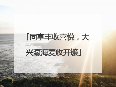 同享丰收喜悦，大兴瀛海麦收开镰