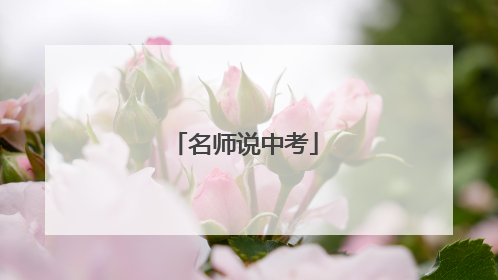名师说中考