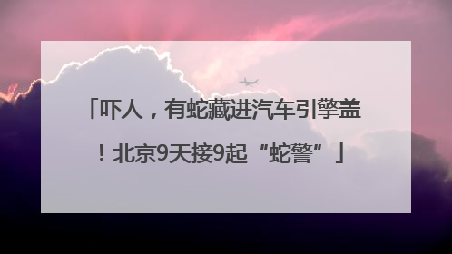 吓人，有蛇藏进汽车引擎盖！北京9天接9起“蛇警”