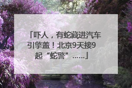 吓人，有蛇藏进汽车引擎盖！北京9天接9起“蛇警”……