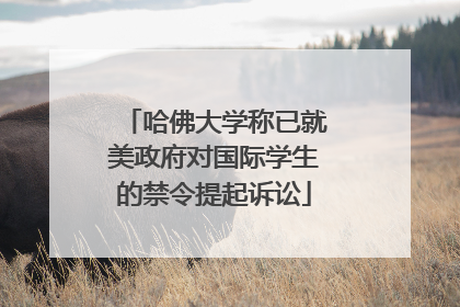 哈佛大学称已就美政府对国际学生的禁令提起诉讼