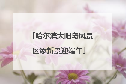 哈尔滨太阳岛风景区添新景迎端午