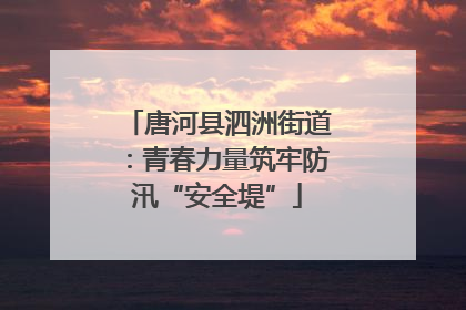 唐河县泗洲街道：青春力量筑牢防汛“安全堤”