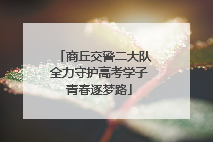 商丘交警二大队全力守护高考学子青春逐梦路