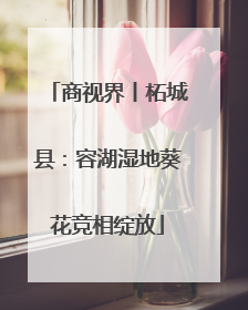 商视界丨柘城县：容湖湿地葵花竞相绽放