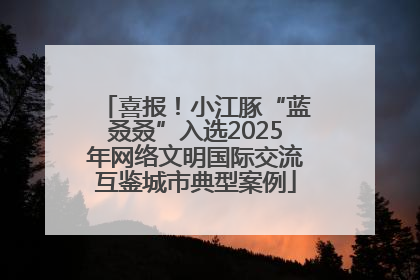 喜报！小江豚“蓝叒叒”入选2025年网络文明国际交流互鉴城市典型案例