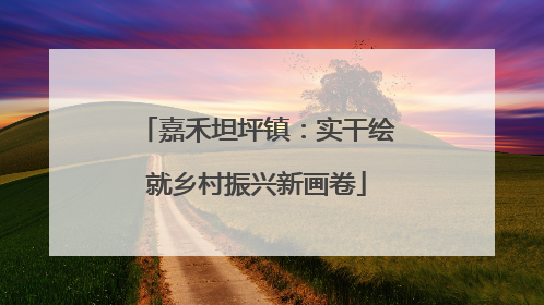 嘉禾坦坪镇：实干绘就乡村振兴新画卷