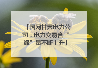 国网甘肃电力公司：电力交易含“绿”量不断上升