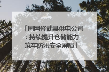 国网修武县供电公司：持续提升仓储能力 筑牢防汛安全屏障