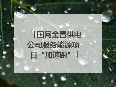 国网金昌供电公司服务能源项目“加速跑”