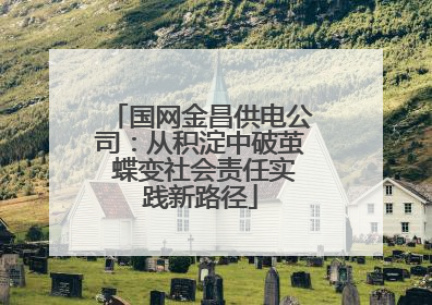 国网金昌供电公司：从积淀中破茧 蝶变社会责任实践新路径