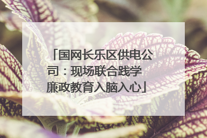 国网长乐区供电公司：现场联合践学 廉政教育入脑入心