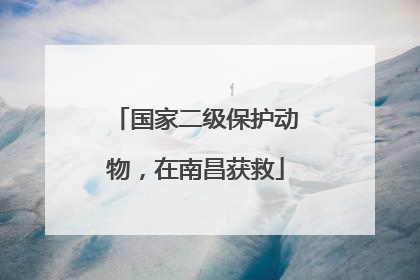 国家二级保护动物，在南昌获救