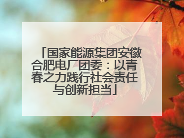 国家能源集团安徽合肥电厂团委：以青春之力践行社会责任与创新担当