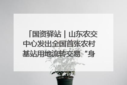 国资驿站｜山东农交中心发出全国首张农村基站用地流转交易“身份证”；“湾区跨境绿运通”上线